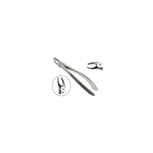 Upper Premolar Forceps