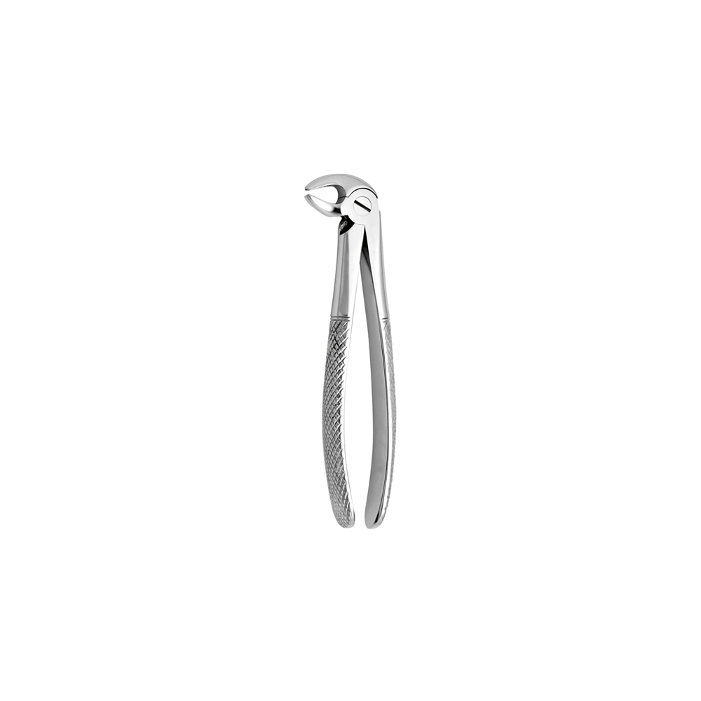 Lower Premolar Forceps