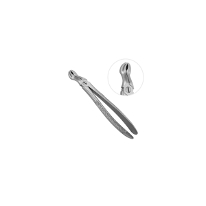 English Upper Molar Forceps