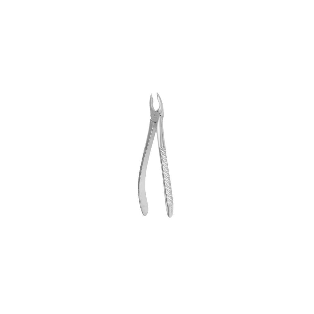 Upper Premolar Forceps