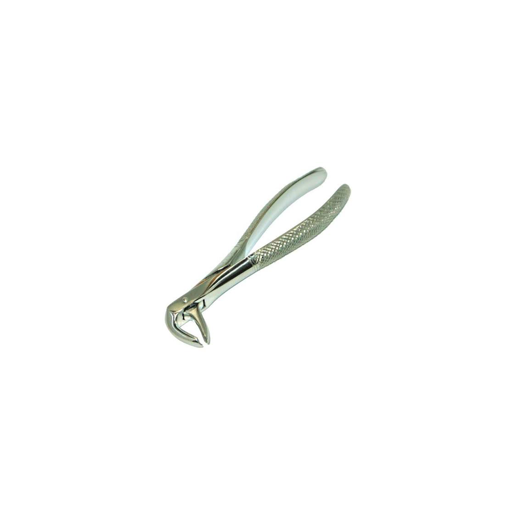 English Lower Molar Forceps