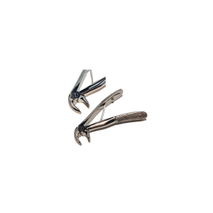 English Lower Molar Forceps