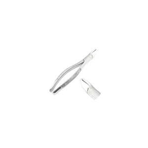 Upper Root Forceps