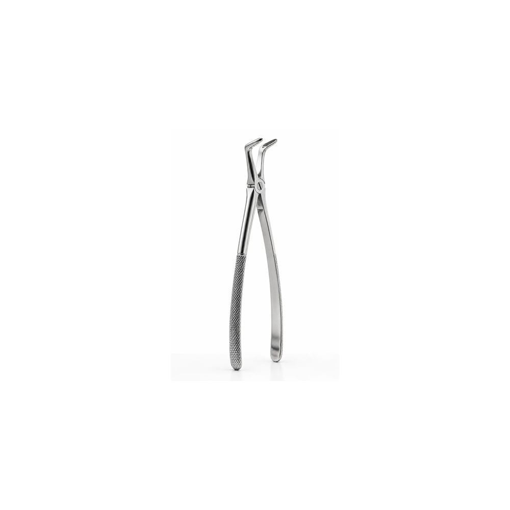 Lower Root Forceps