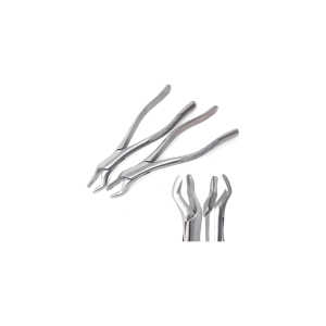 No. 53R Upper Molar Forceps